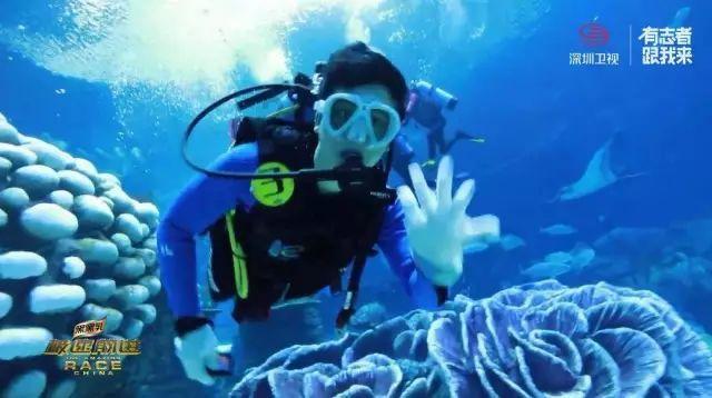 海滩小镇逃生